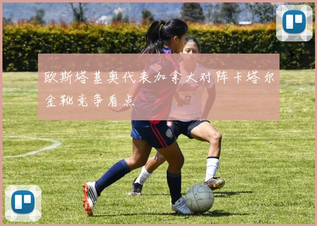 欧斯塔基奥代表加拿大对阵卡塔尔金靴竞争看点