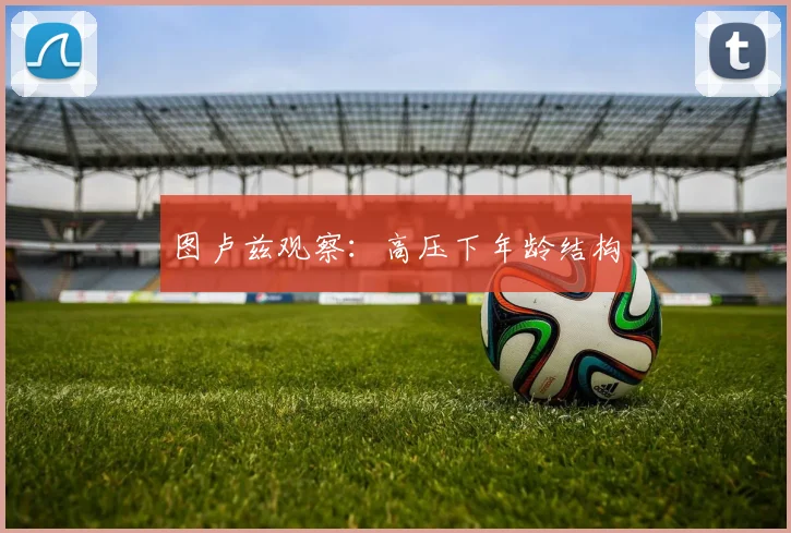 图卢兹观察:高压下年龄结构