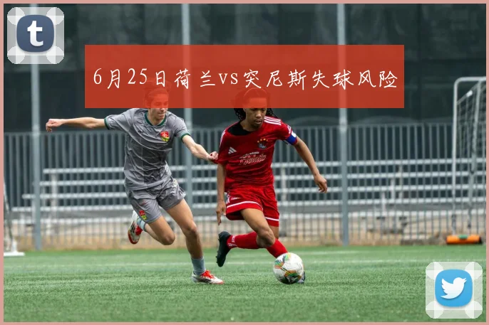 6月25日荷兰vs突尼斯失球风险