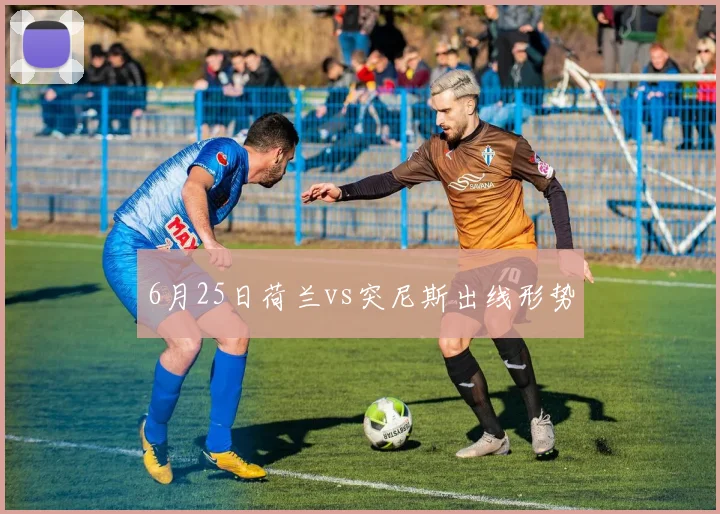 6月25日荷兰vs突尼斯出线形势
